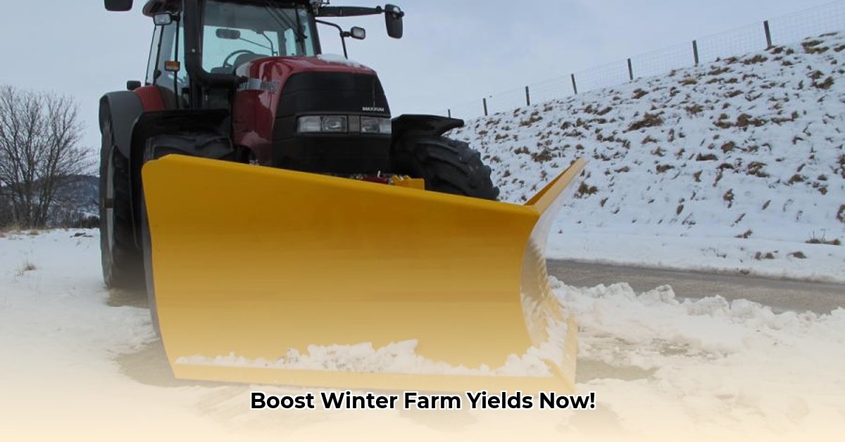 tractor-snow-plough